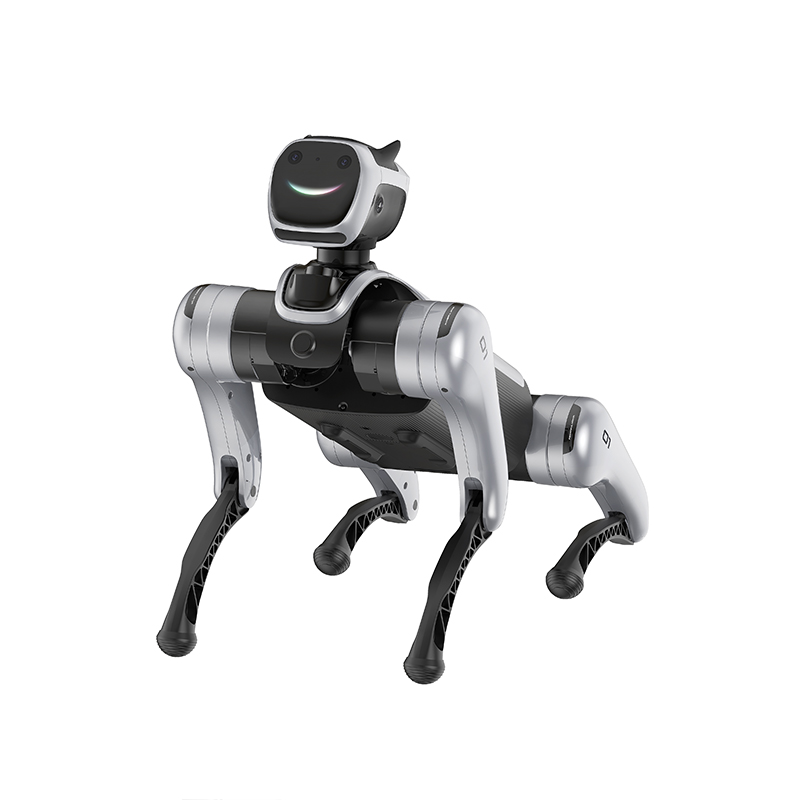 MagicDog Magiclab Quadruped Robot