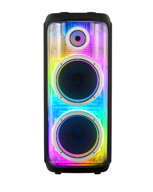 100W Double 10" Bluetooth Speaker 10D43 LED light Portable Wireless TWS Bluetooth PA Speaker