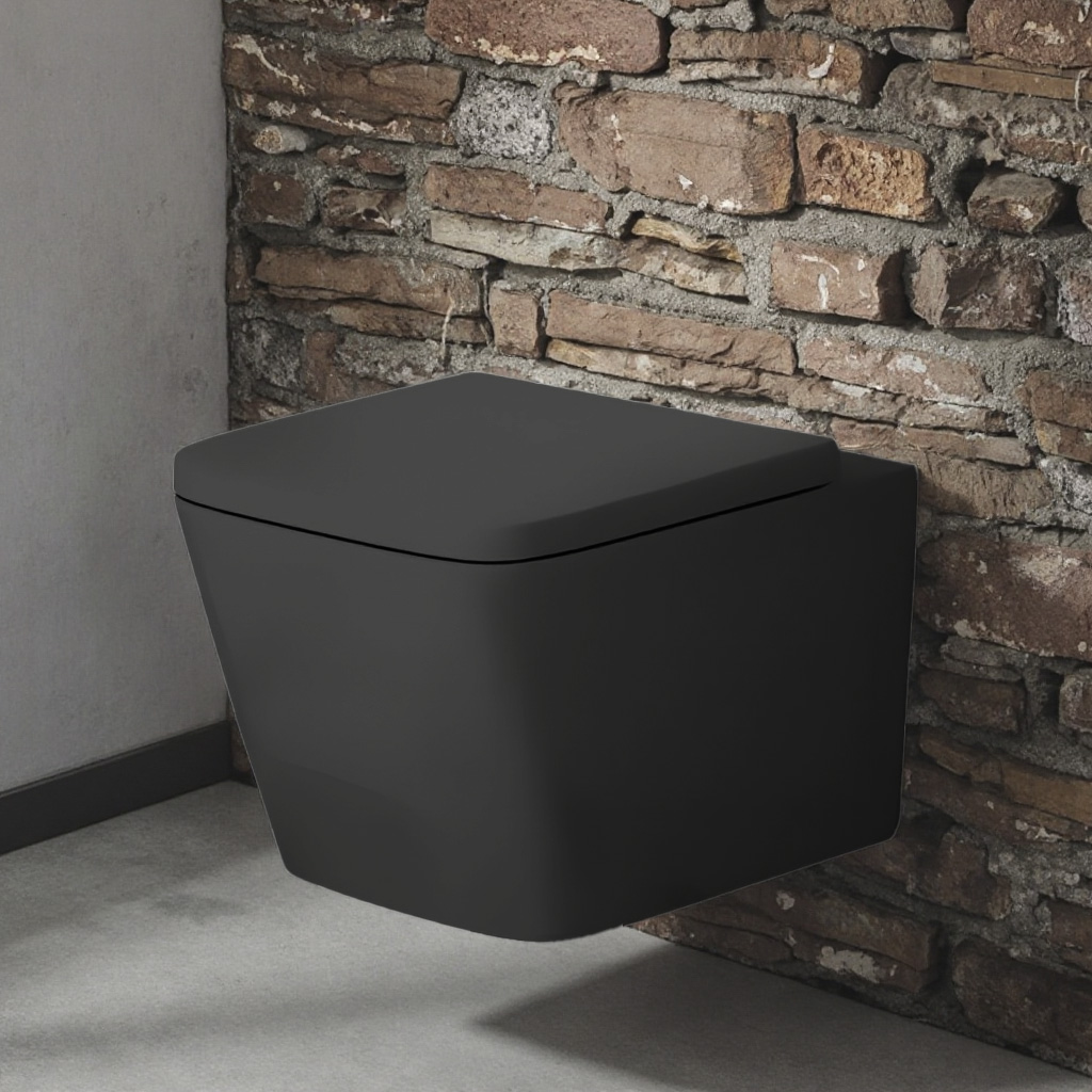 Rimless black wall hung toilet Concealed Toilet Cisterns