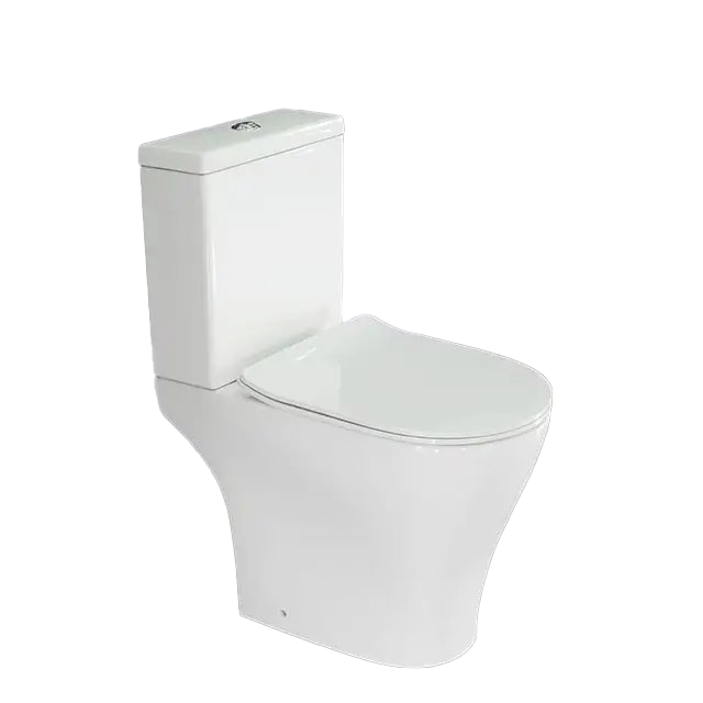 Washdown Tornado Toilet