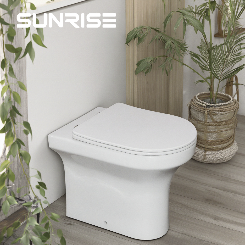 Back To Wall Toilet Pan