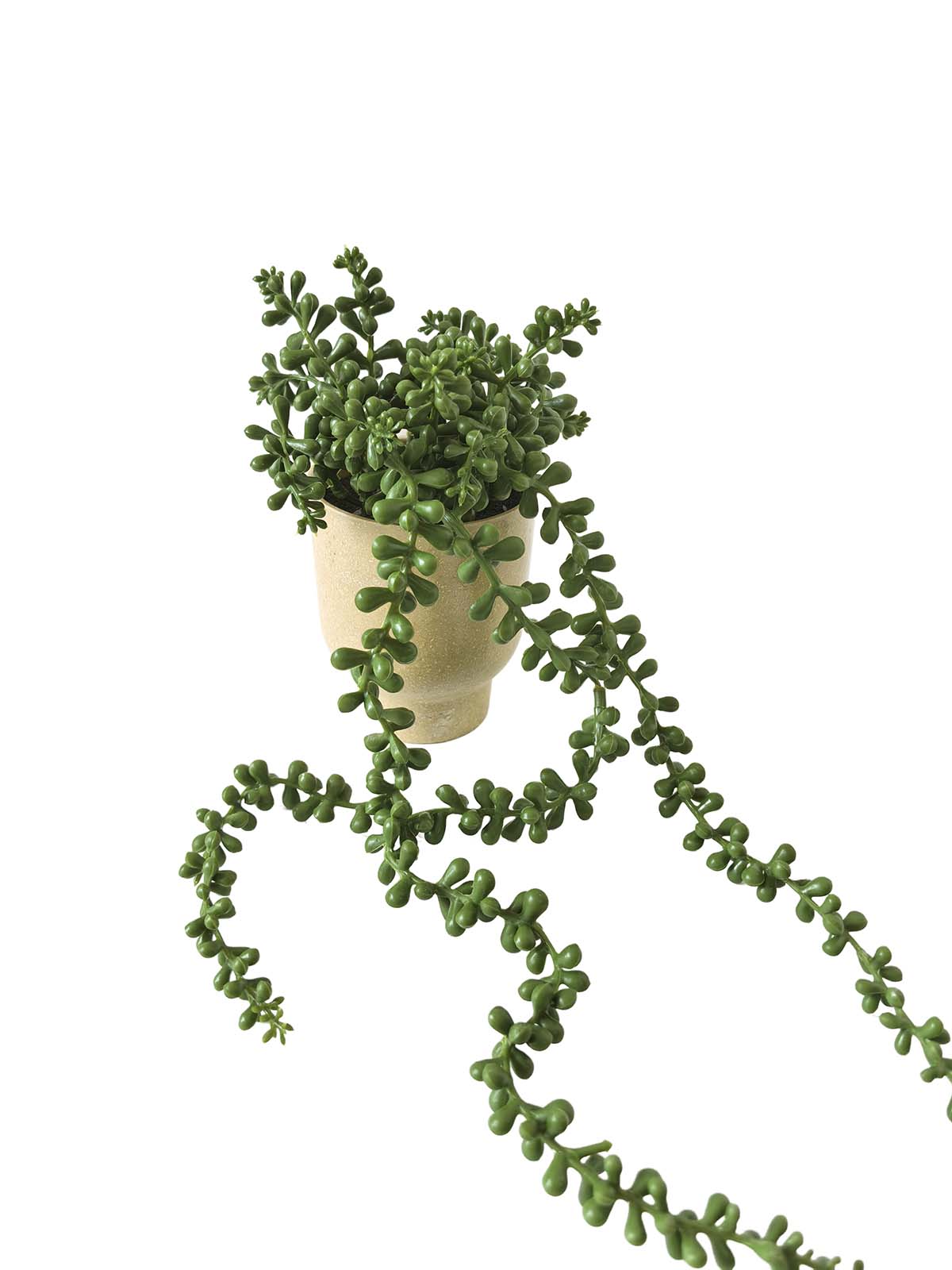 Faux greenery