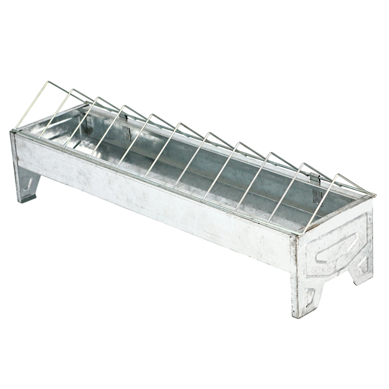 Collection of chicken feeder