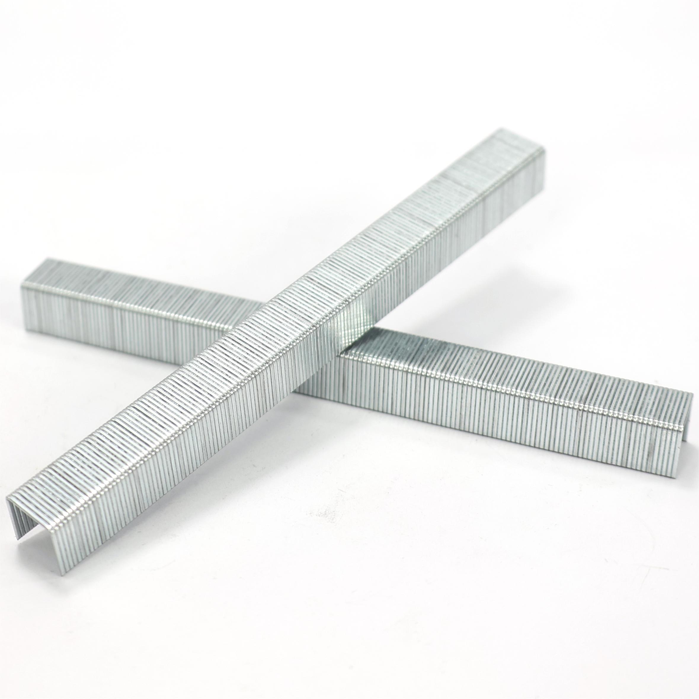 Rise Time 80Staples Furniture staples for fix sofa leather, seat covers, and furniture manufacturing