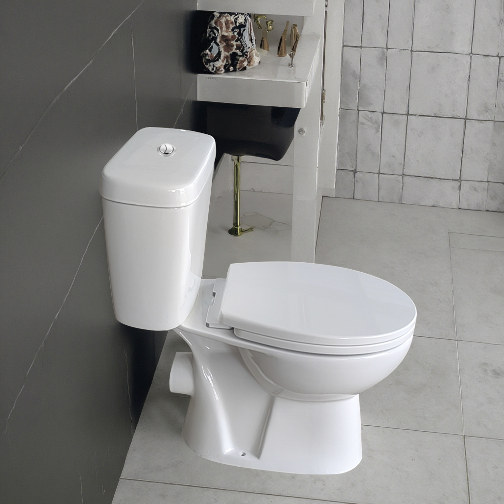 Rimless Toilet With Cistern