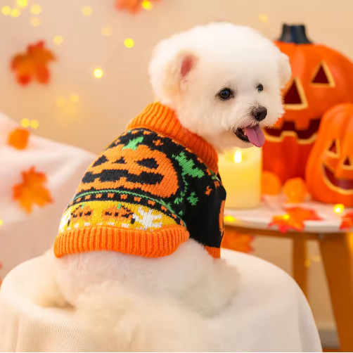 2025 Autumn Winter Pet Halloween Costume Dog & Cat Pumpkin Print Sweater Dressing Cotton Apparel
