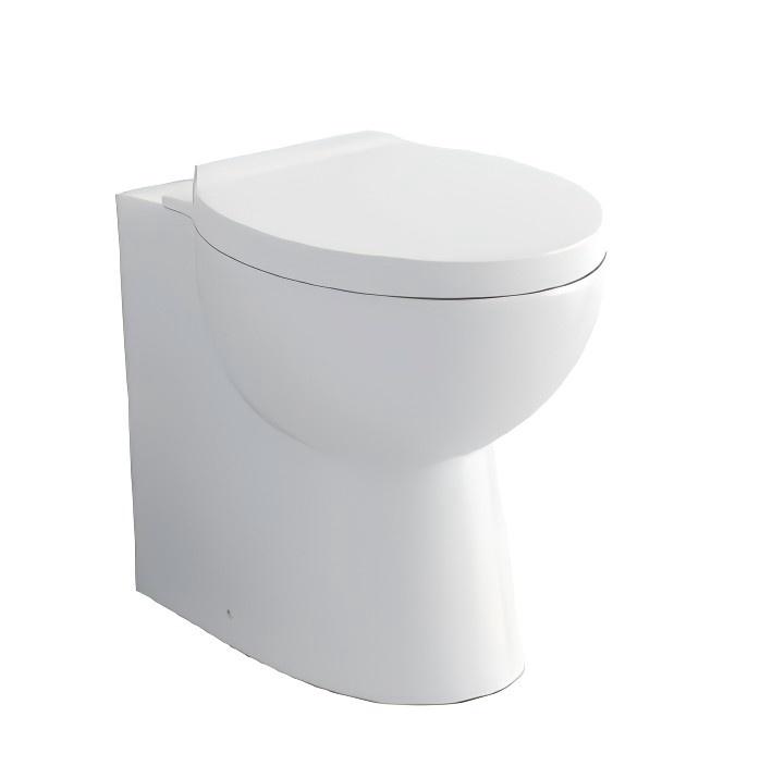 Dual Flush Luxury One Piece Toilet