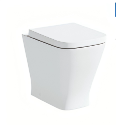 Concealed Toilet Cistern Back To Wall Toilet