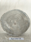 Wood chip