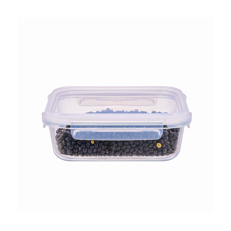 Glass Food Storage Container