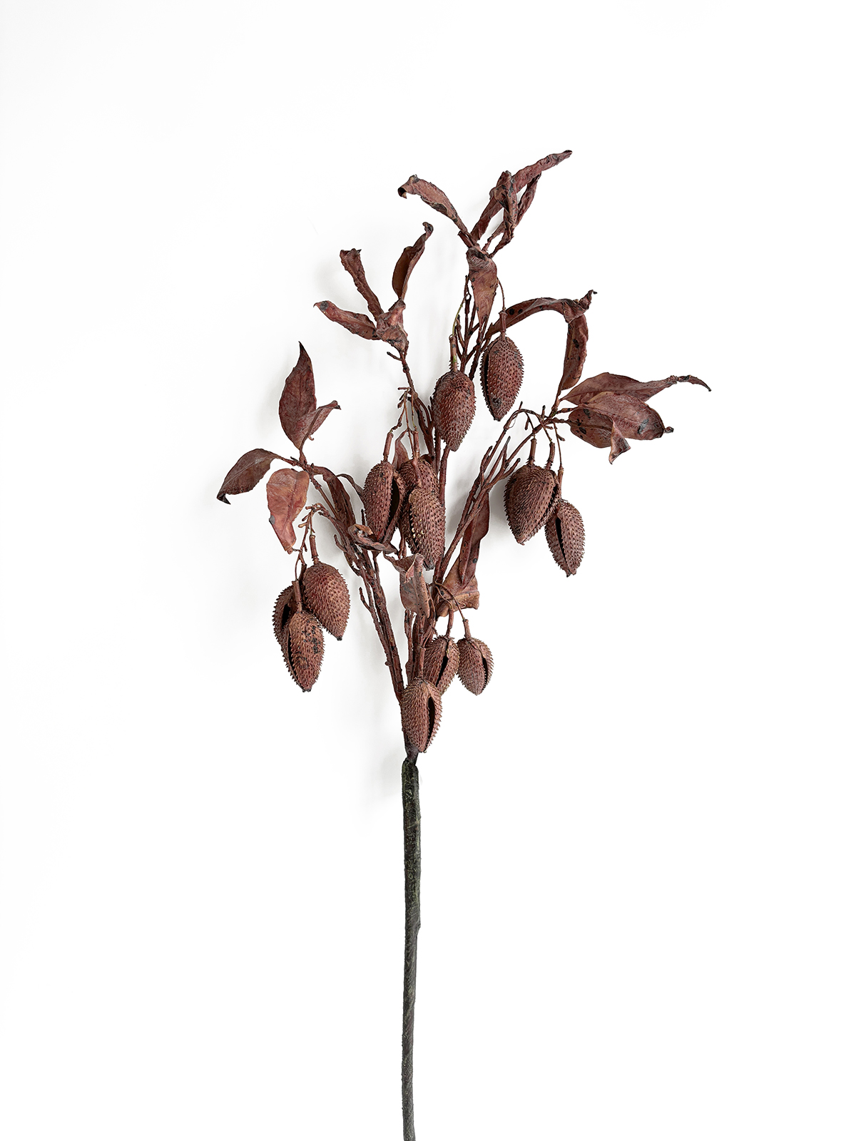 Faux Dried Flower
