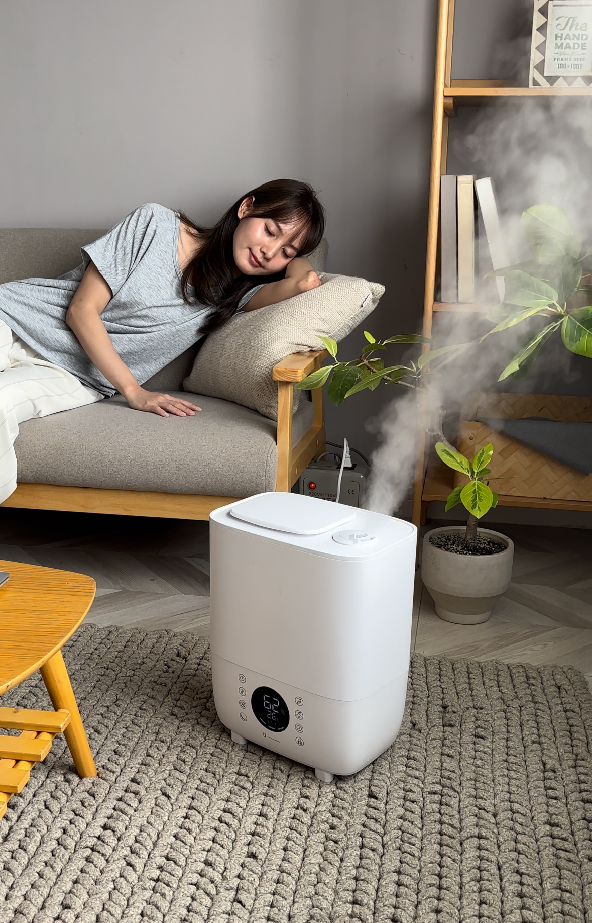 Top Filling Cool & Warm Mist Humdifier SH1010