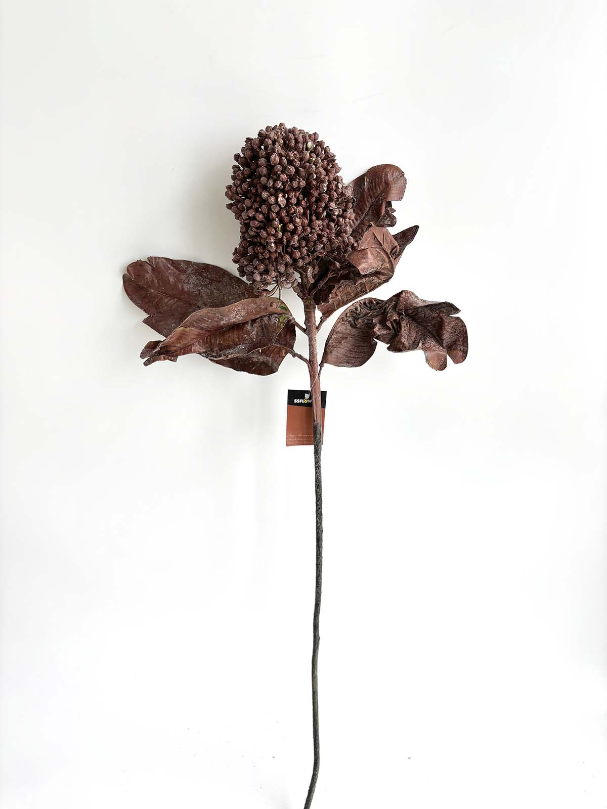 Faux Dried Flower