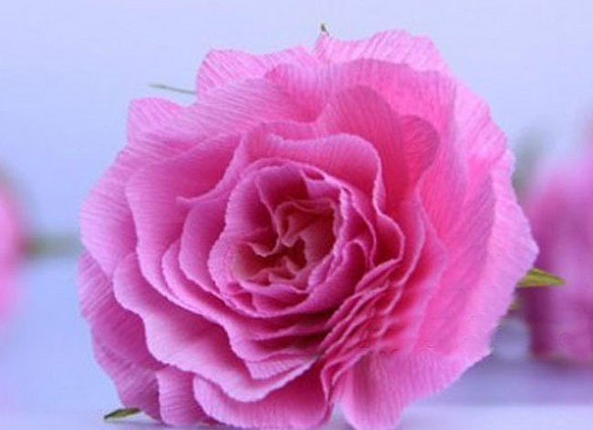 colored crepe paper