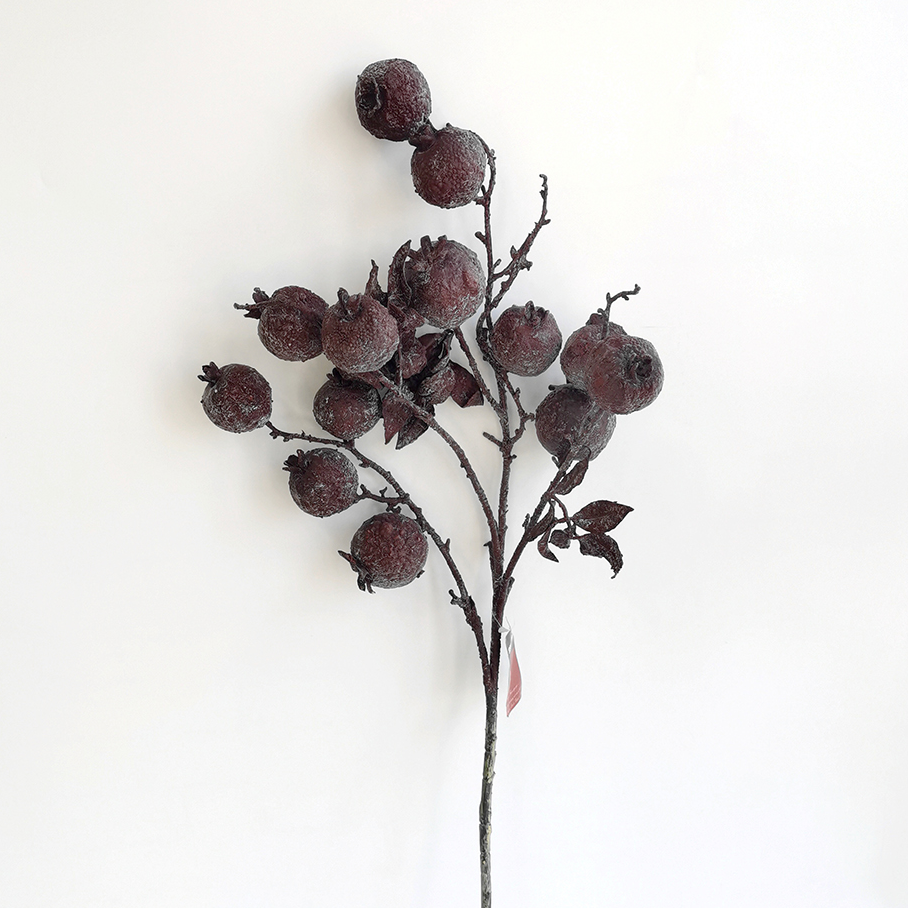 Faux Dried Fruit