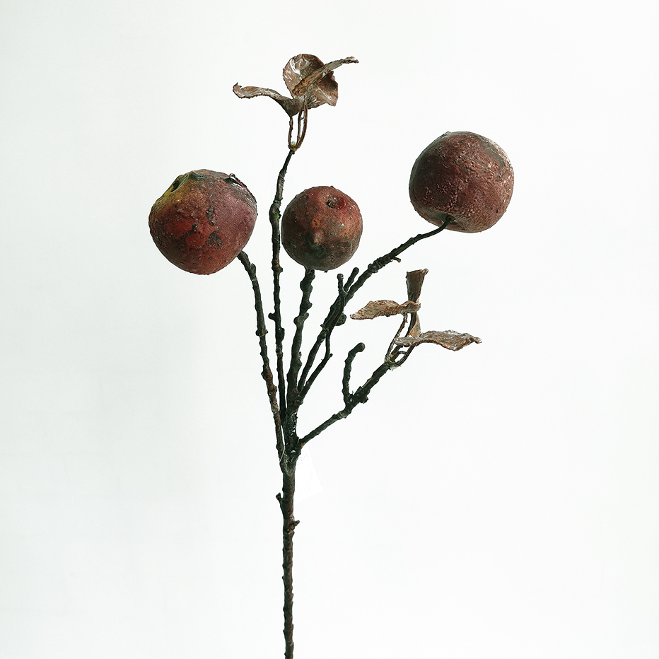 Faux Dried Fruit