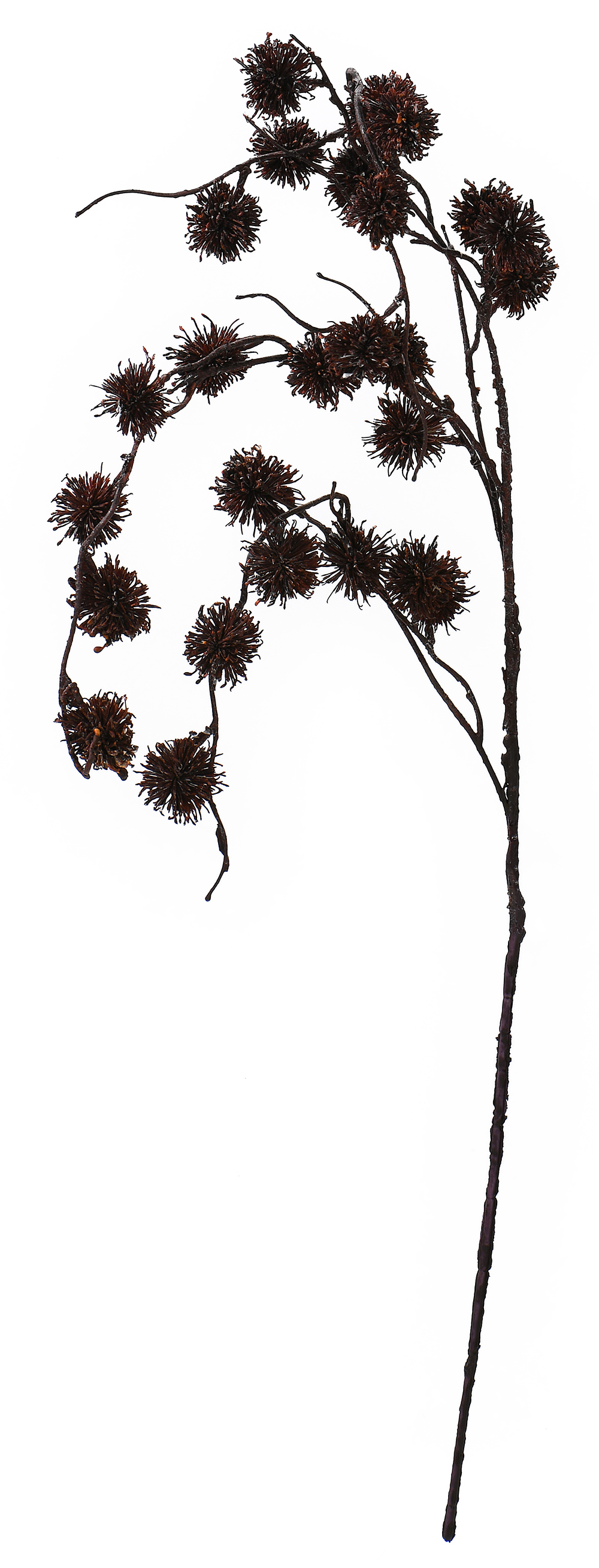 Faux Dried Fruit