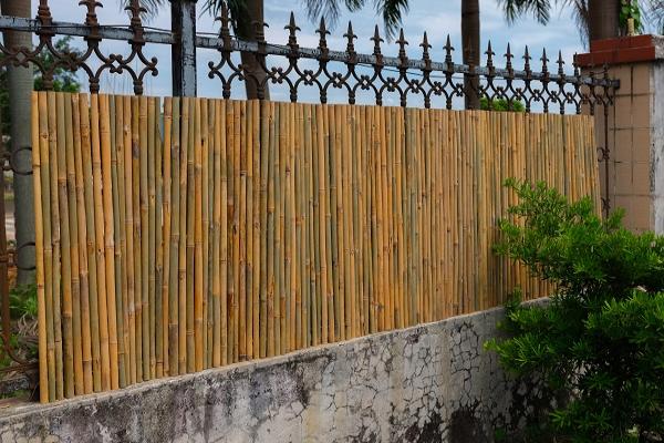 Bamboo Bunch Fence