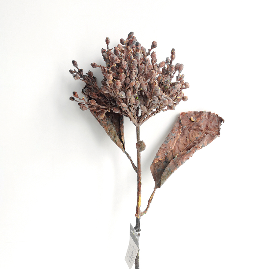 Faux Dried Flower