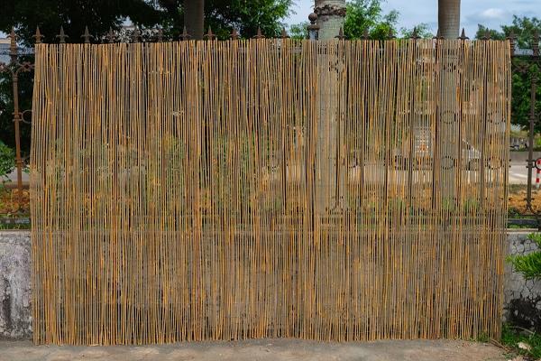 Bamboo Stick Fence