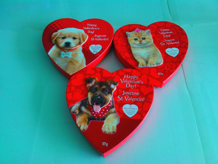Three cat and dog series heart-shaped boxes