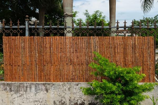 Bark Fence