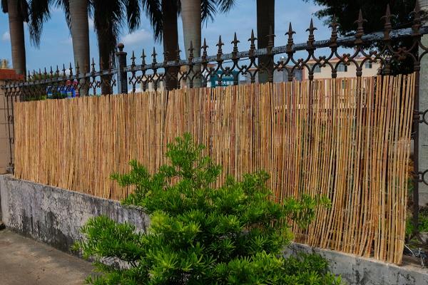 White Fern Fence