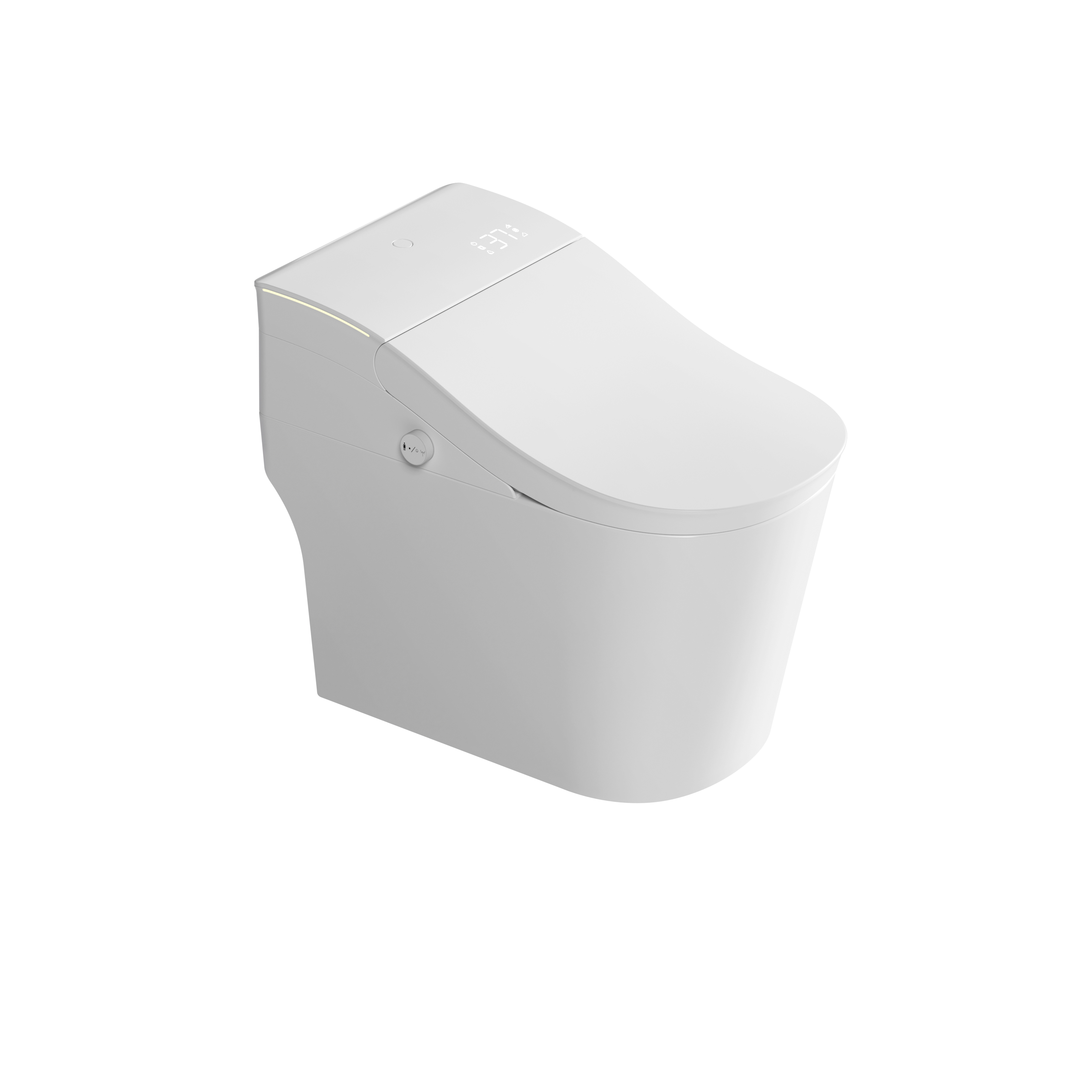 Romance plug-in intelligent/smart toilet