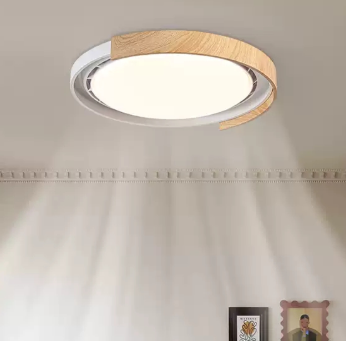 ceiling fan