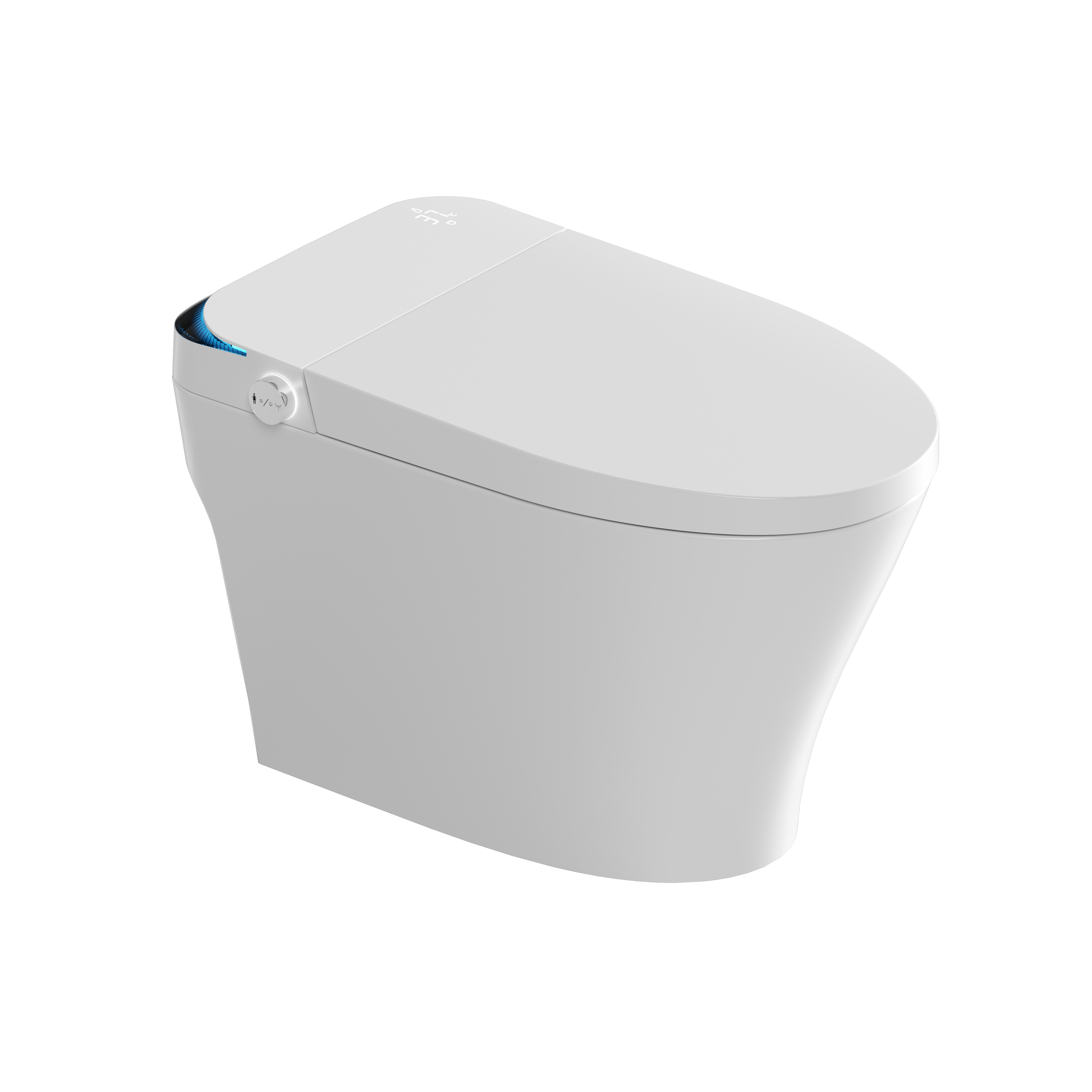 Romance plug-in intelligent/smart toilet