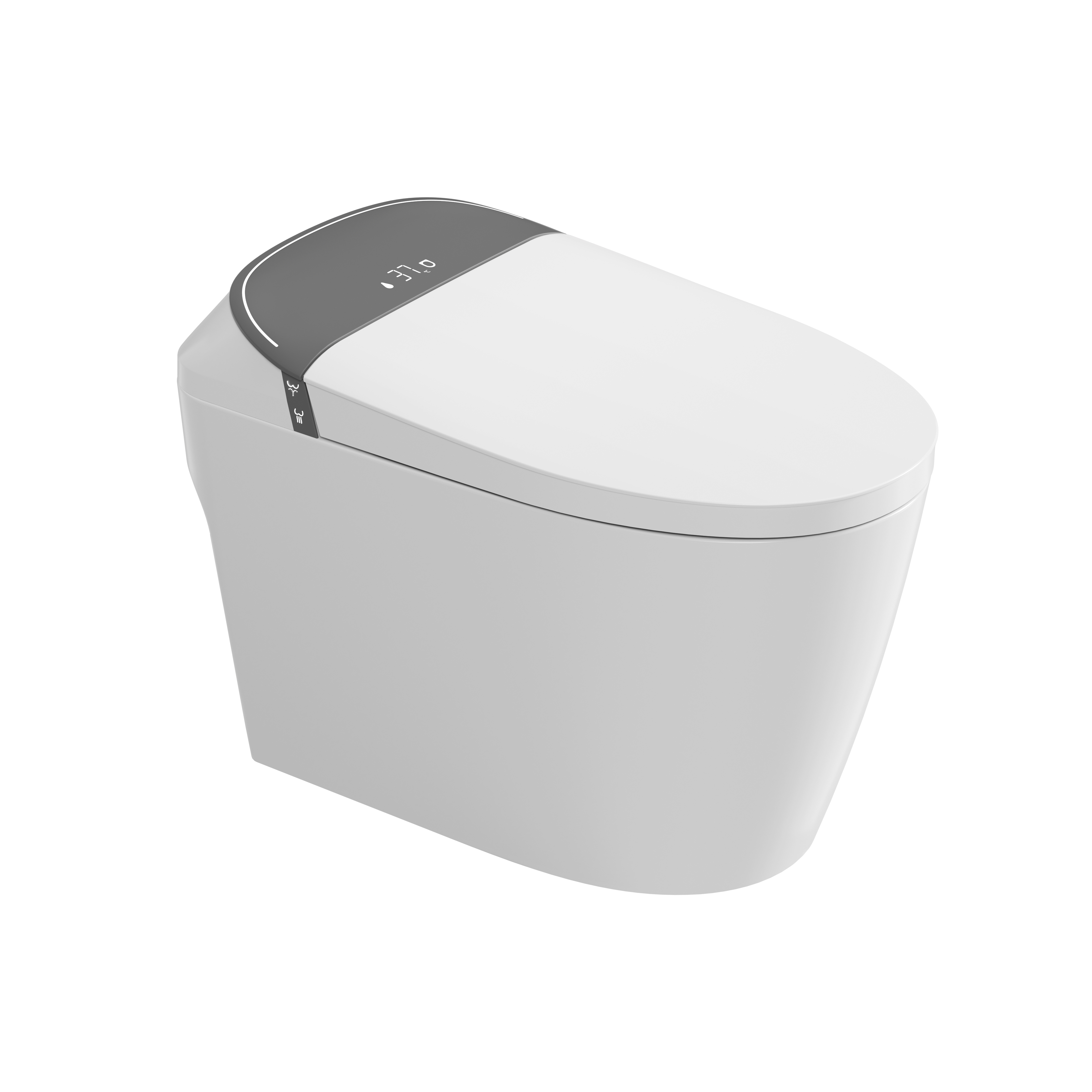 Romance plug-in intelligent/smart toilet