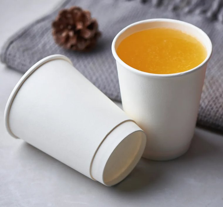 Dongsu 10oz Disposable Paper Cup