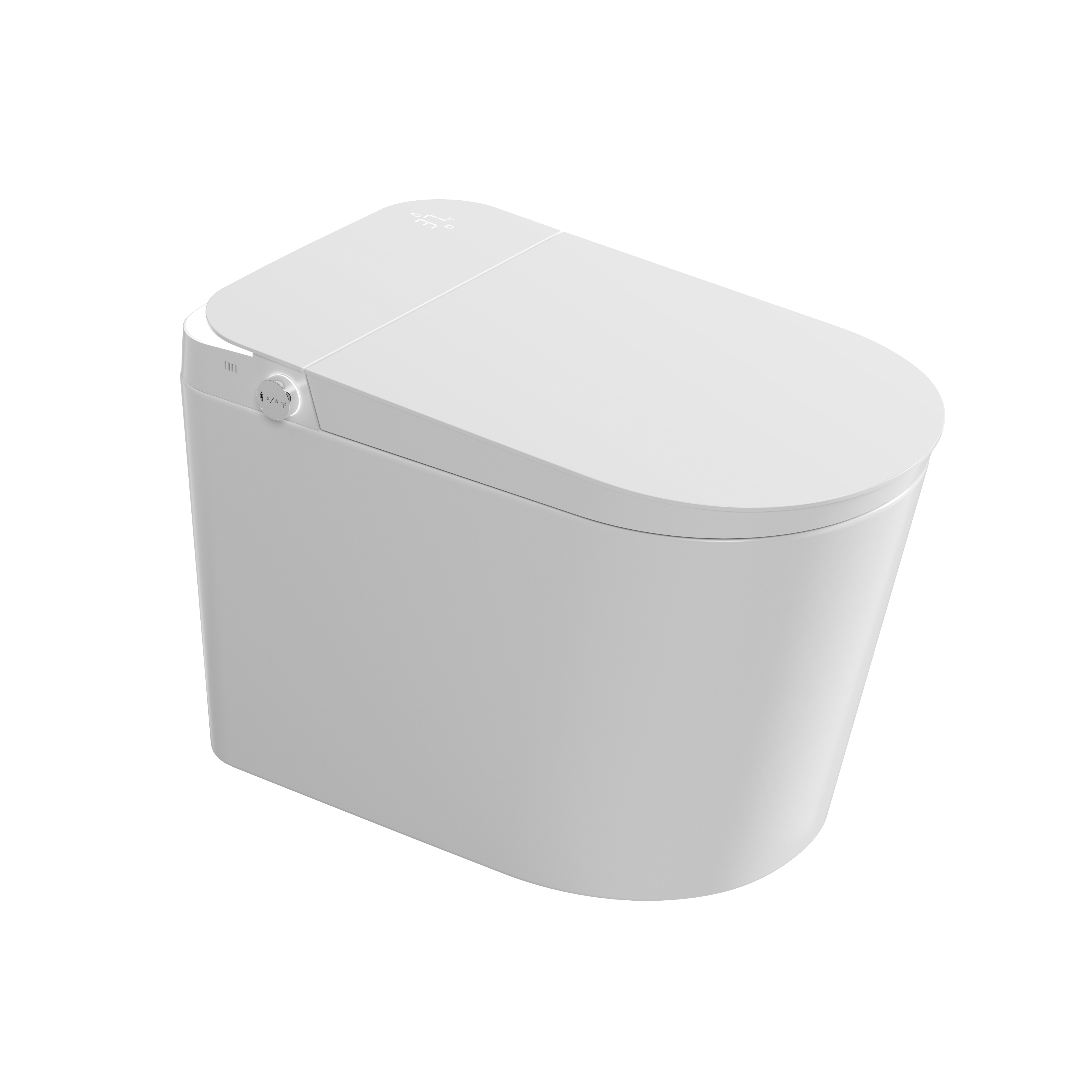 Romance plug-in intelligent/smart toilet