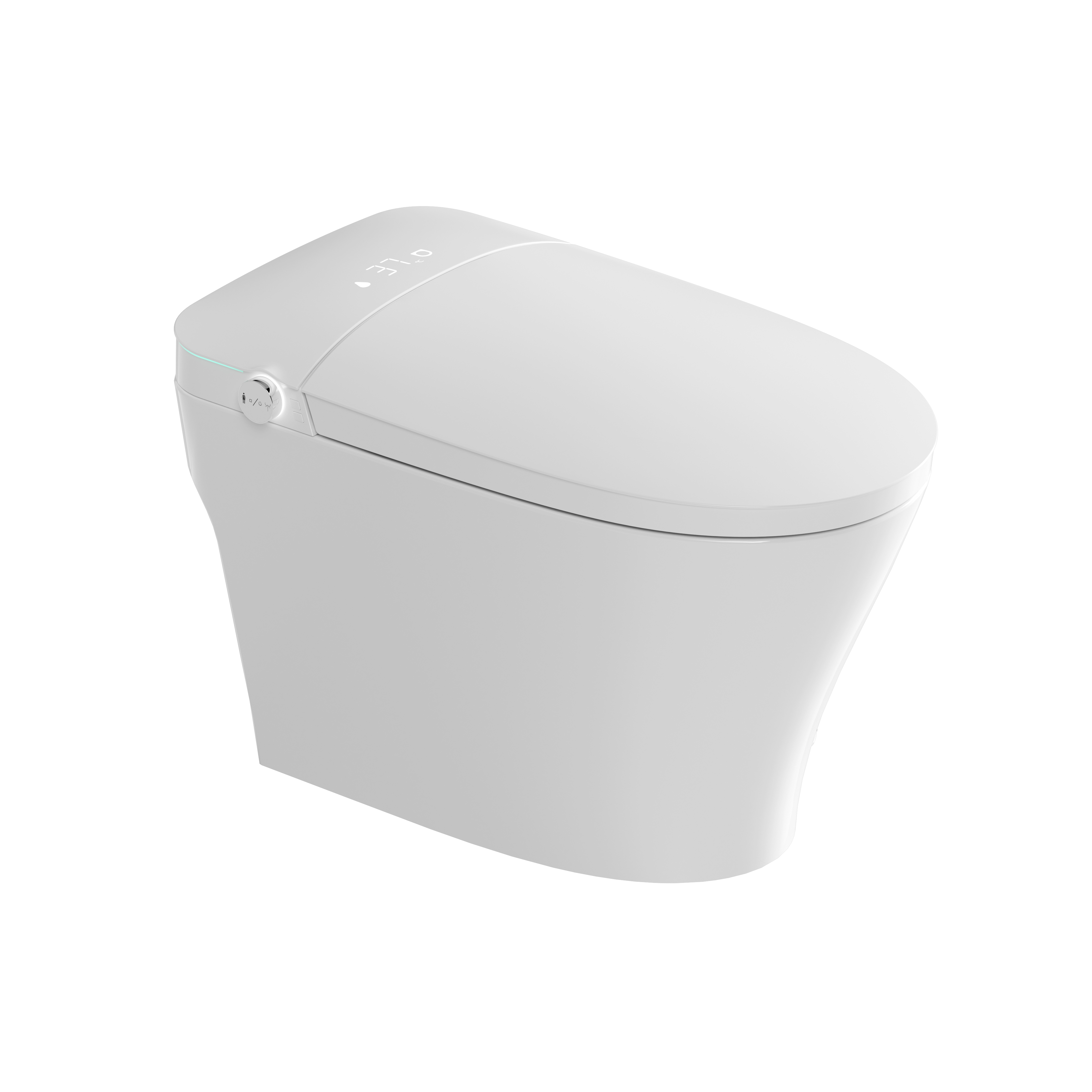 Romance plug-in intelligent/smart toilet