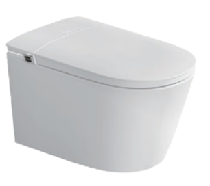 Smart Toilet