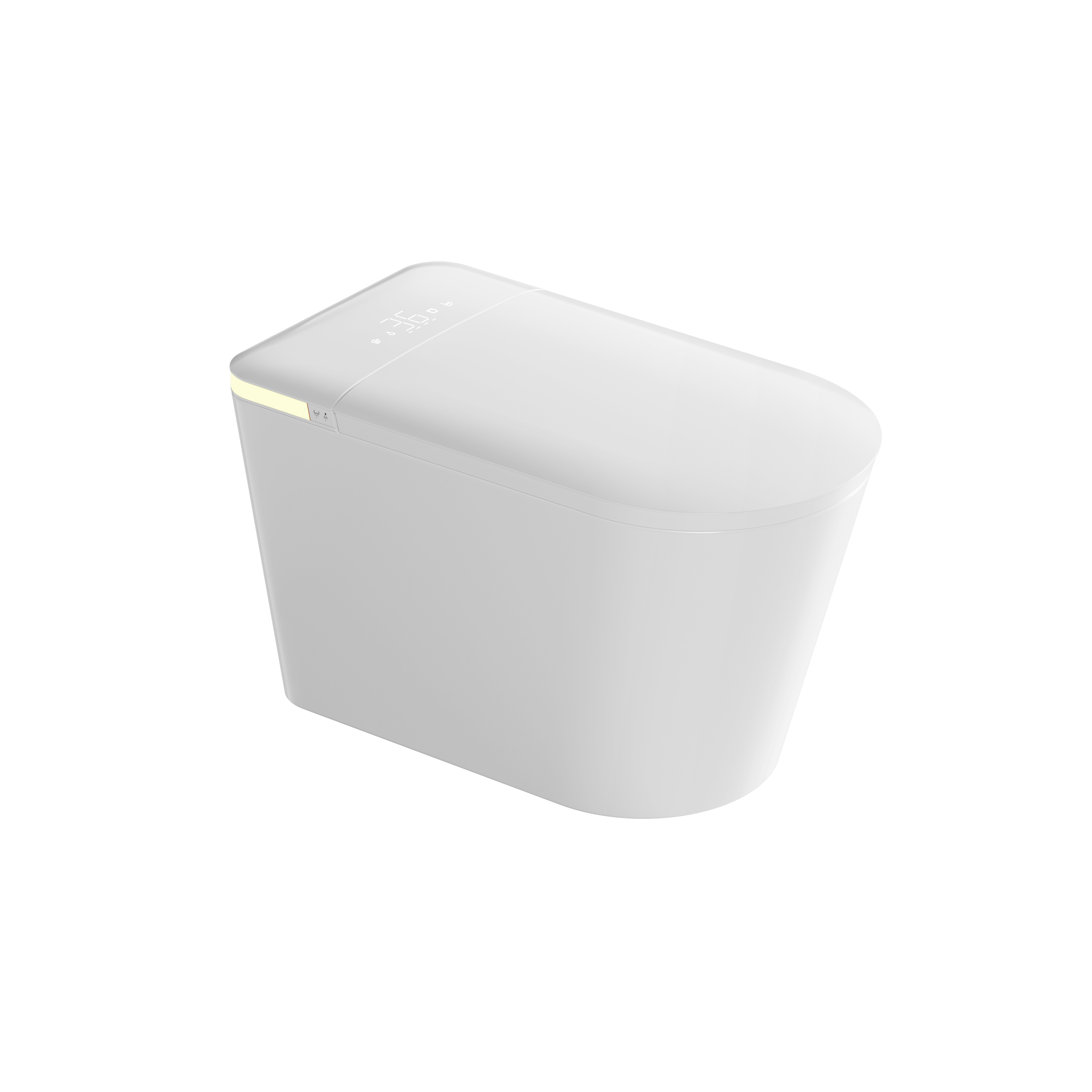 Romance plug-in intelligent/smart toilet