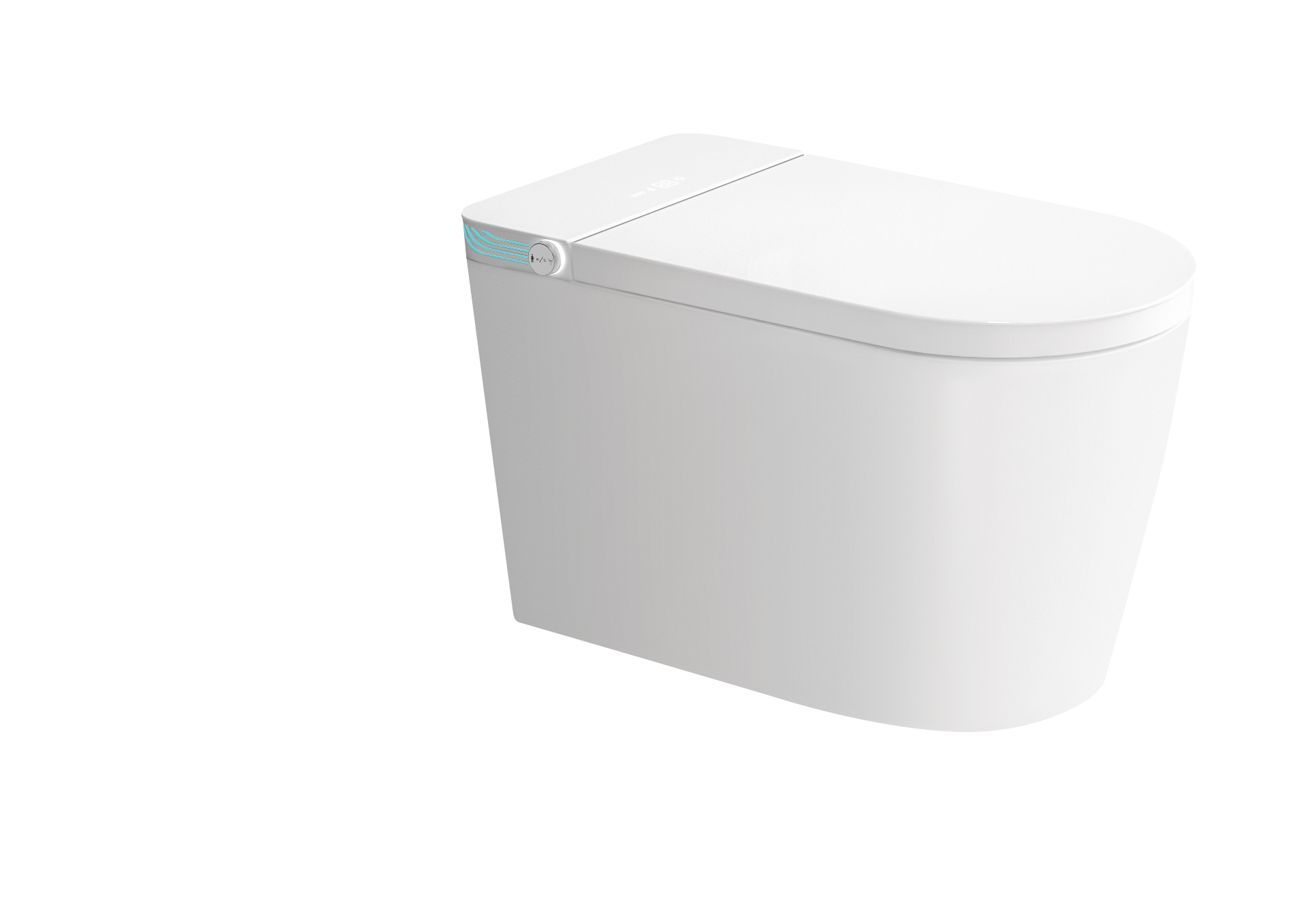 Romance plug-in intelligent/smart toilet