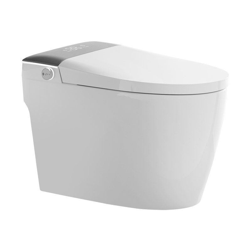 Romance plug-in intelligent/smart toilet