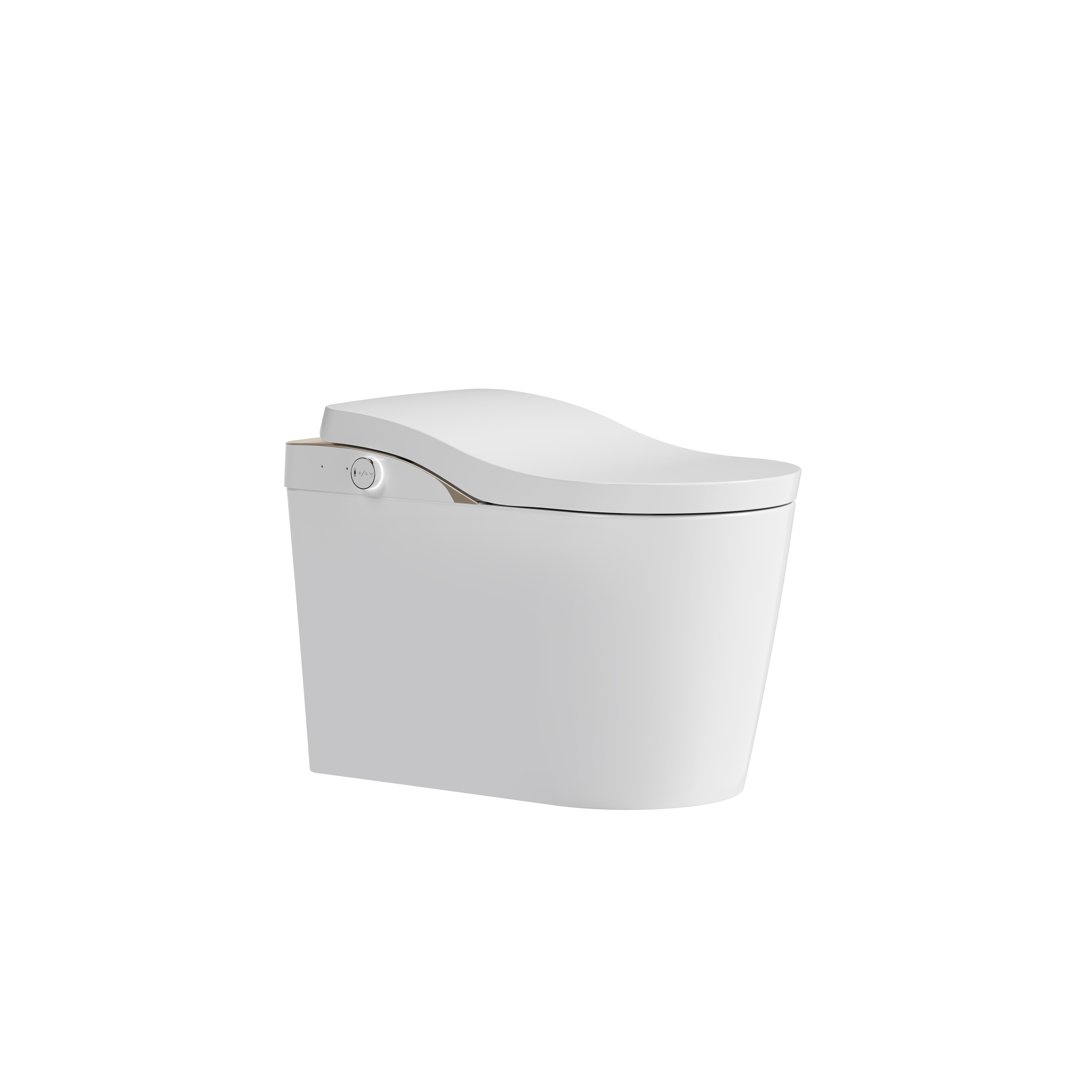 Romance plug-in intelligent/smart toilet