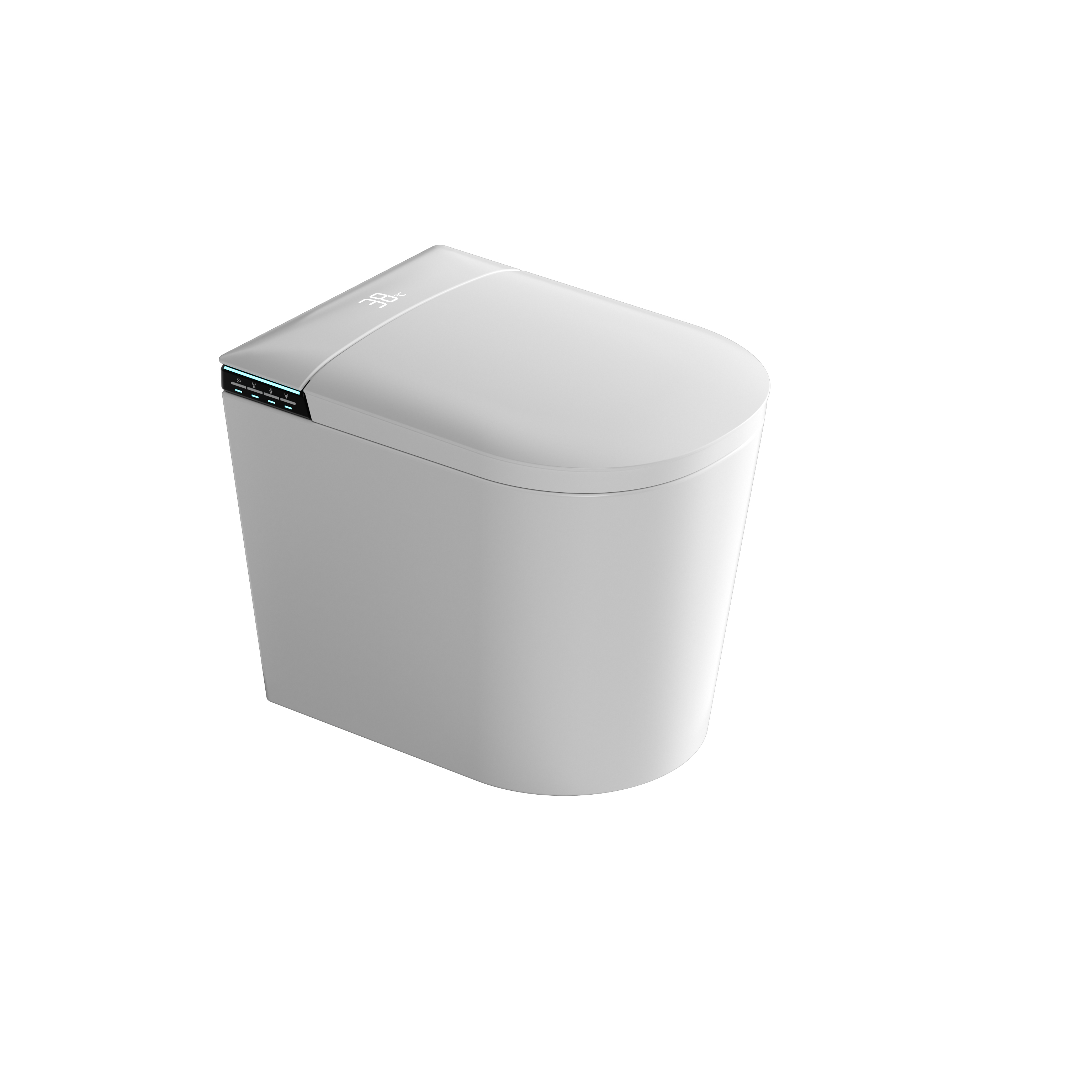Romance plug-in intelligent/smart toilet