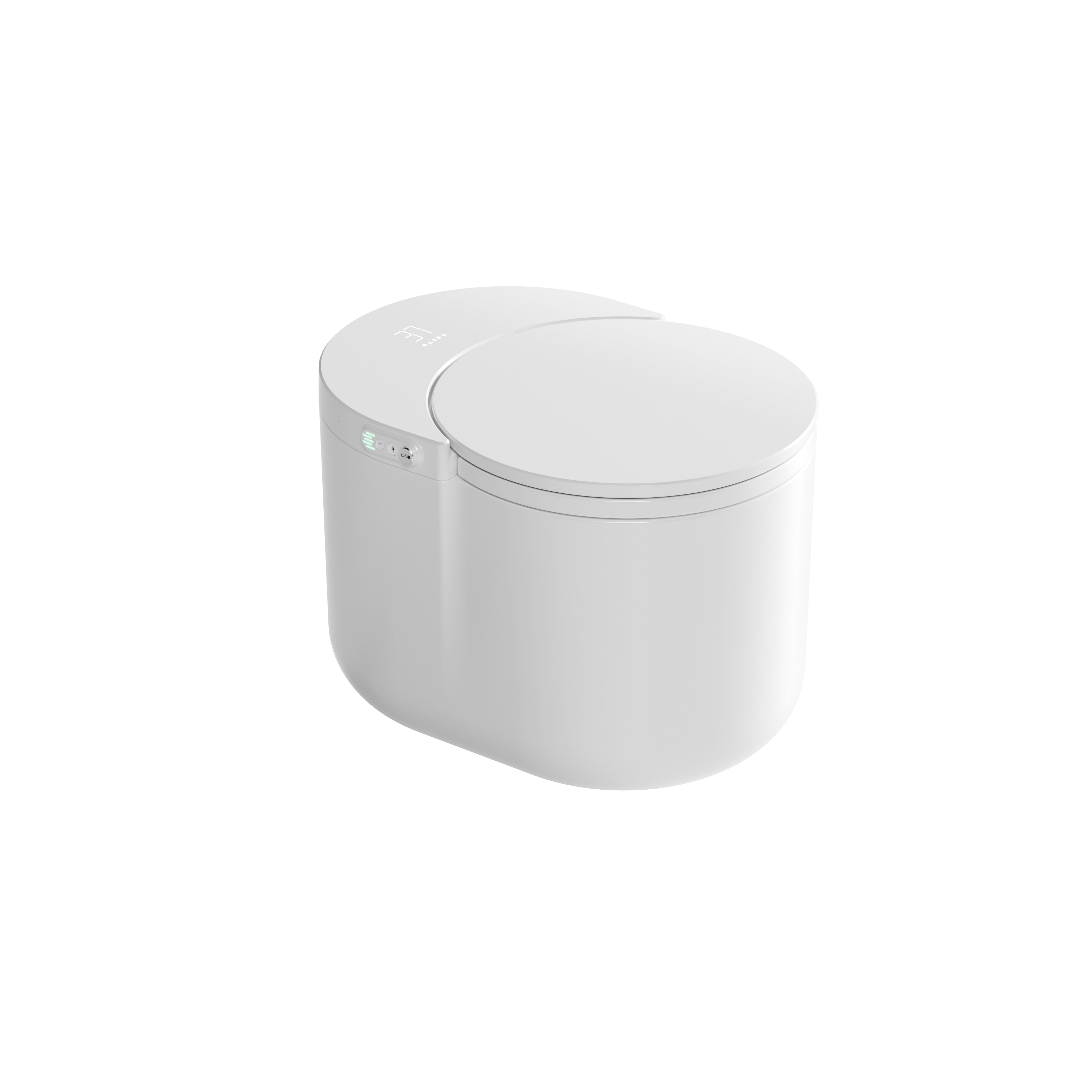 Romance plug-in intelligent/smart toilet