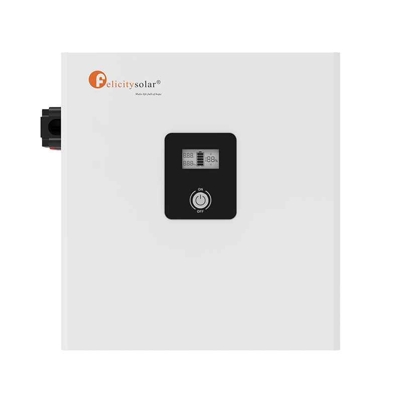 Felicitysolar LiFePO4 Battery Pack LPBF24200-A