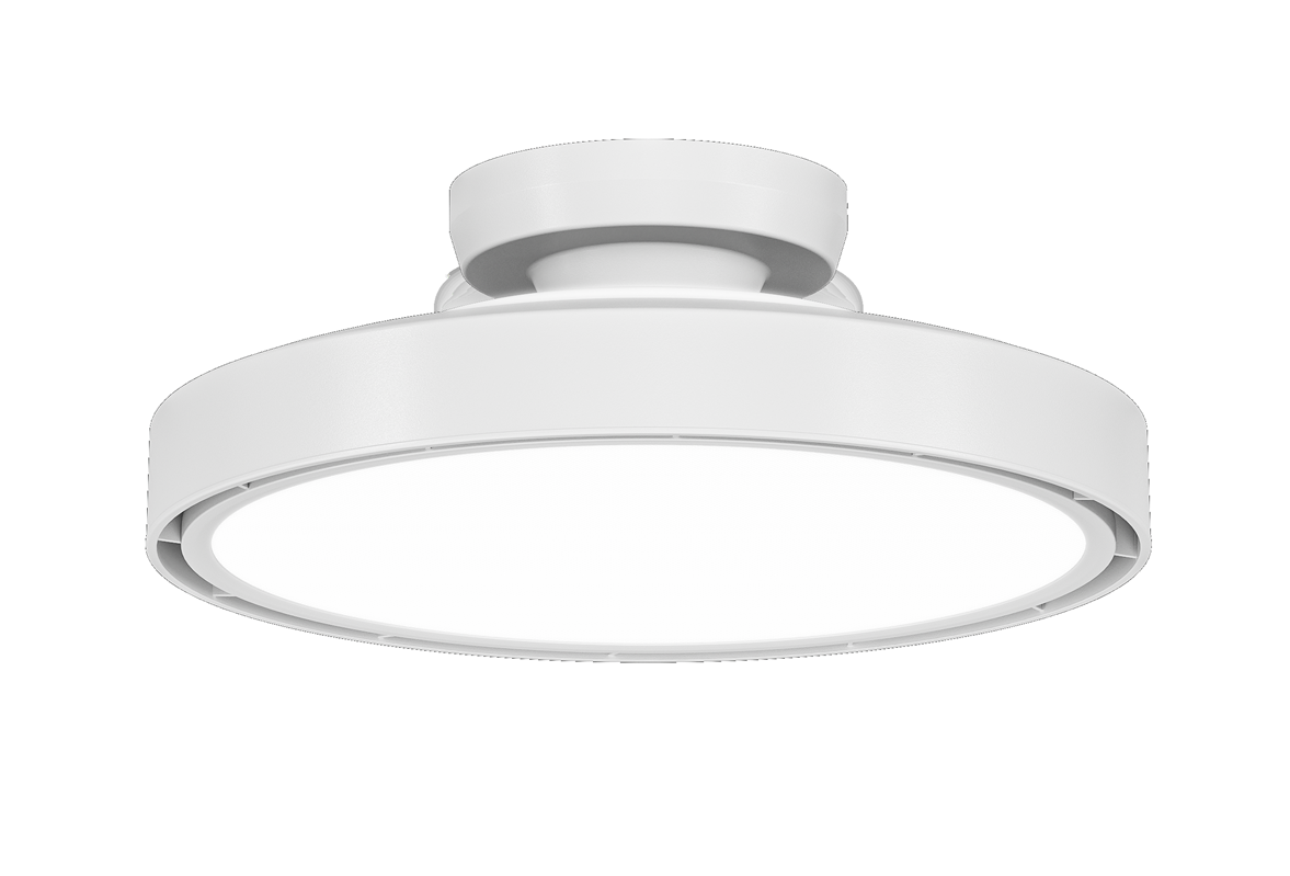 Ceiling fan