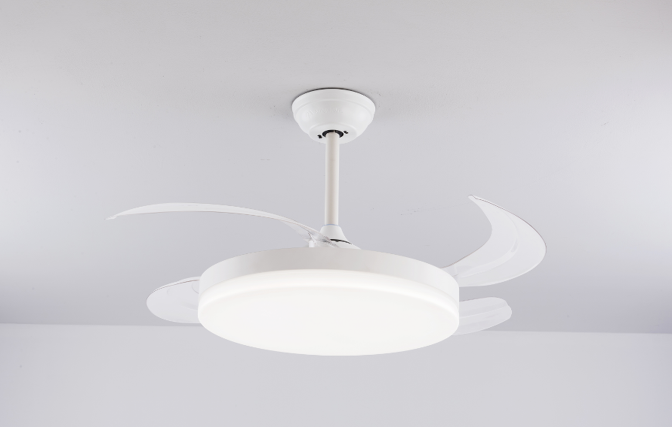 Ceiling fan ceiling fan with light