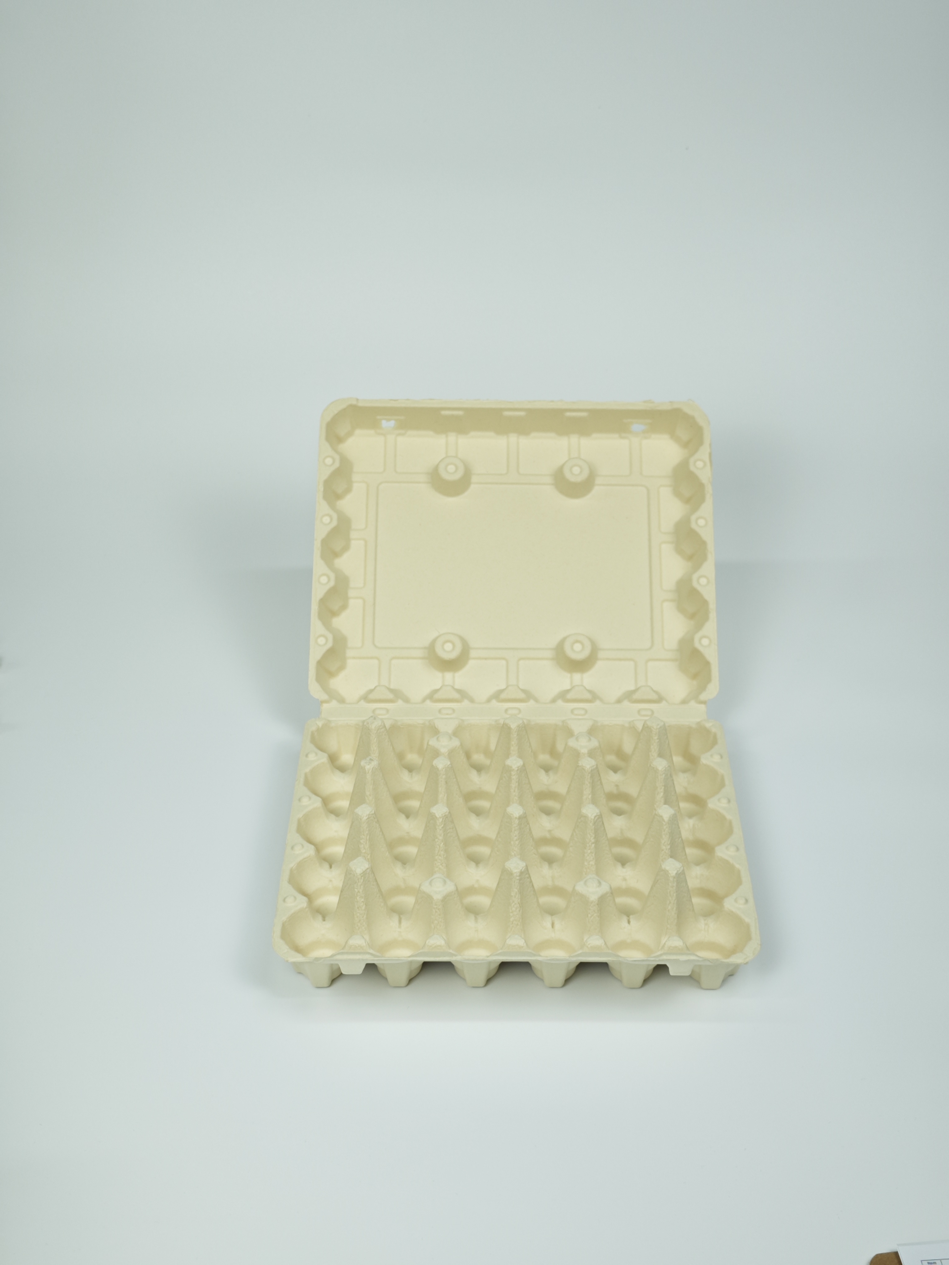 Egg Carton