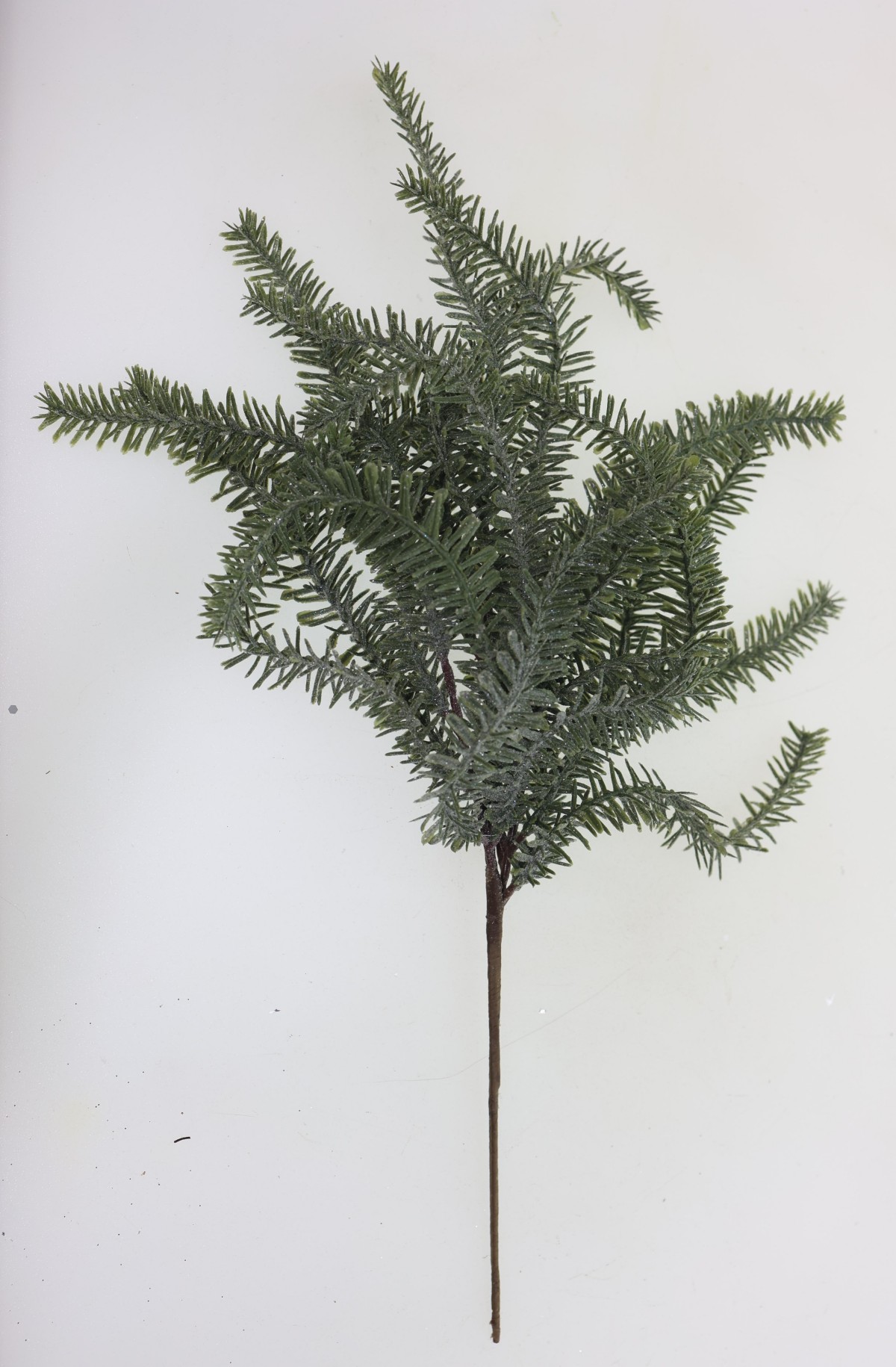 pine stem