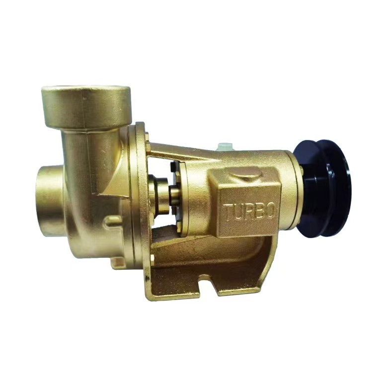 Sea Water Pump