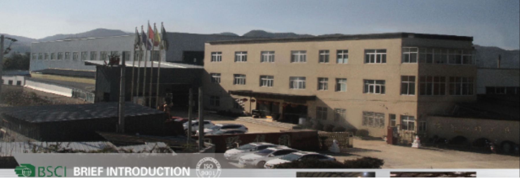 Anhui Tepulun Hardware Tools Co., Ltd. – tornillo de acero 1