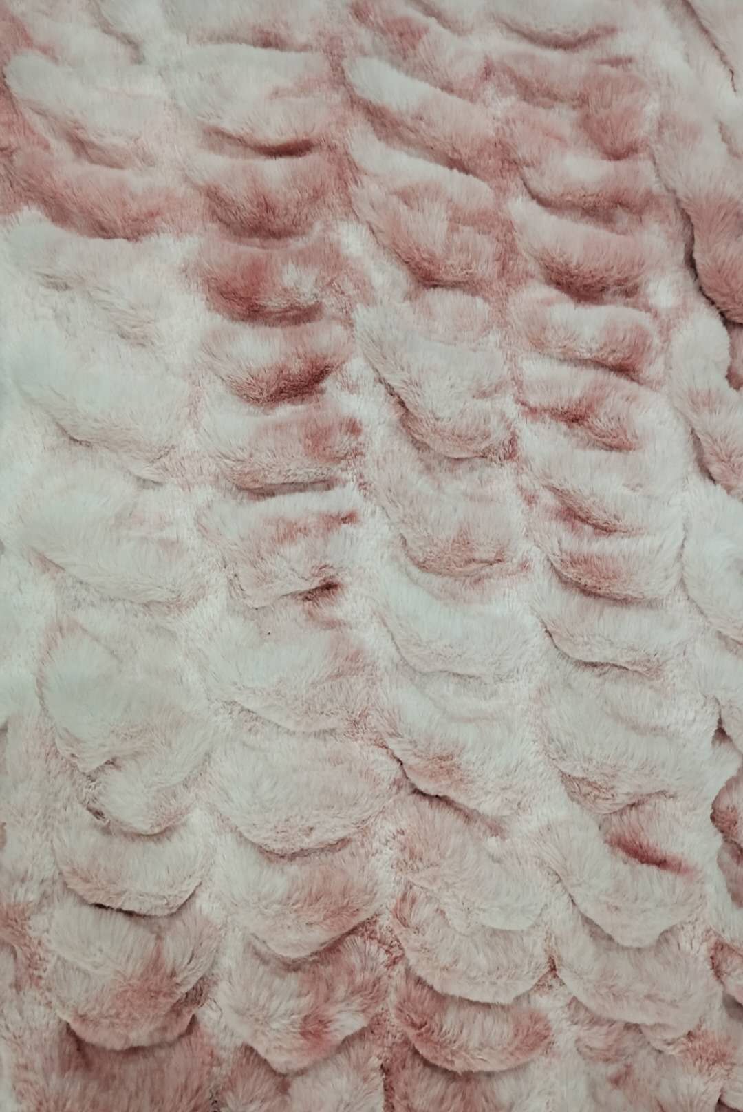 Blanket