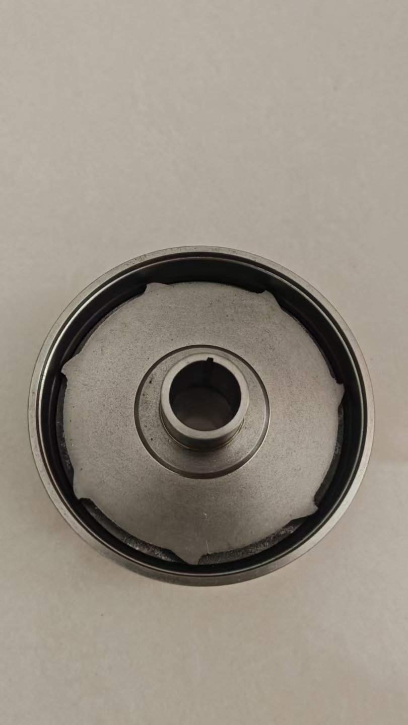 Guide vane Impeller P6